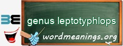 WordMeaning blackboard for genus leptotyphlops